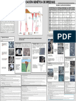 Infografia de Brechas Geologia