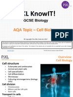 Cell Biology PiXL Powerpoint