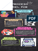 Proceso Del PCR y Usos