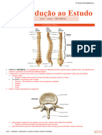 Aula 5 - Introdução Ao Estudo Da Coluna Vertebral e Lombalgia - Juarez