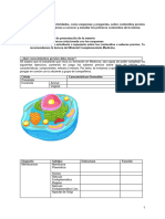 Actividad Histología