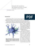 Capítulo 3. Desarrollo Del Ectodermo