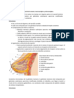 Trabajo Anatomía