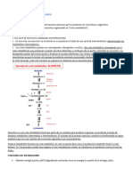 Bioquimica Parcial 4