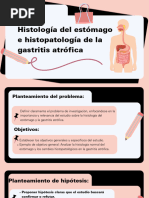 Histologia Del Estomago