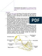 CLASE 12 Fisio