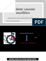 2 - Acidente Vascular Encefálico