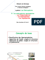 Spermaphytes