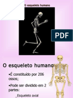 Esqueleto Humano