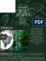 MATA ATLântica