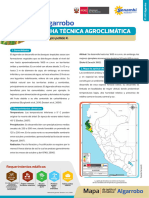 Algarrobo PDF