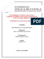 Cultivo Bacteriano Informe