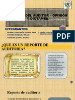 Reporte Del Auditor - Opinión y Dictamen