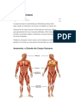 Entenda o Corpo Humano - Suas Partes, Órgãos e Anatomia - Toda Ma