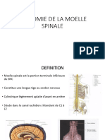 Anatomie de La Moelle Spinale Jav 2022