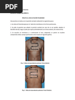 Guia Auscultacion Pulmonar