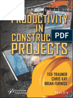 Productivity in Construction Projects (2022)