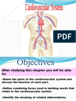 Cardiovascular System