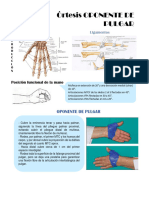 Oponente de Pulgar