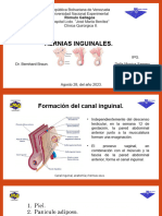 Hernias Inguinales