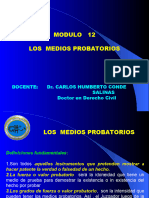 Modulo 12-Los Medios Probatorios