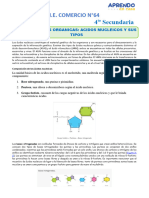 Biomoleculas Organicas Acidos Mucleicos y Sus Tipos