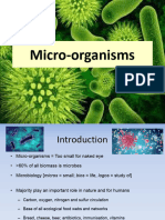 What Is A Micro-Organism - Viruses and Bacteria