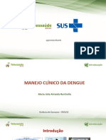 Webseminario Manejo Clinico Da Dengue - Maria Julia