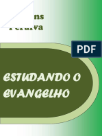 Estudando o Evangelho (Martins Peralva)