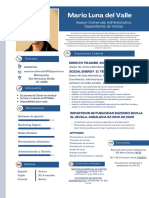 Currículum Vitae CV MLV PDF