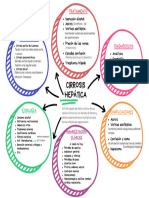 Tema 14 Cirrosis Hepática