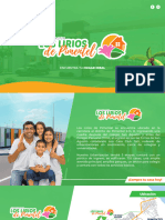 Brochure Lirios