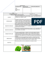 FICHA TECNICA Lechuga Terminada