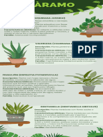 Infografia