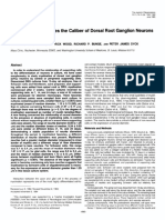 Myelination Determines The Caliber of Dorsal Root Ganglion Neurons in Culture