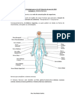 Sebenta de Psicologia para o II e III Trimestre Do Ano de 2024 Unidade II - Sistema Nervoso