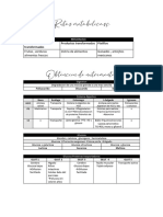 Rutas Metabolicas