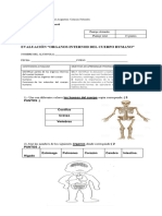 Pruebas Organos Internos