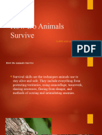 How Do Animals Survive