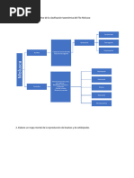 Cuestionario Lab 5 Zoologia