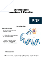 Chromosome Structure & Function