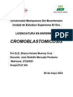 Investigacion Cromomicosis