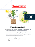 Photosynthesis