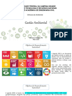 Aula 18 - Gestão Ambiental