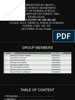 Anatomy of Heart Group 1