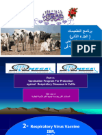 Respiratory Viral Diseases in Cattle and Type of Vaccination Prof