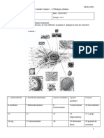CC Biologie Cellulaire