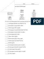 Genotype and Phenotype Ws