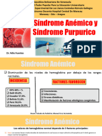 SX Anemico SX Purpurico