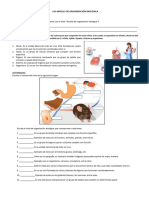 Ficha Los Niveles de Organización Biológica